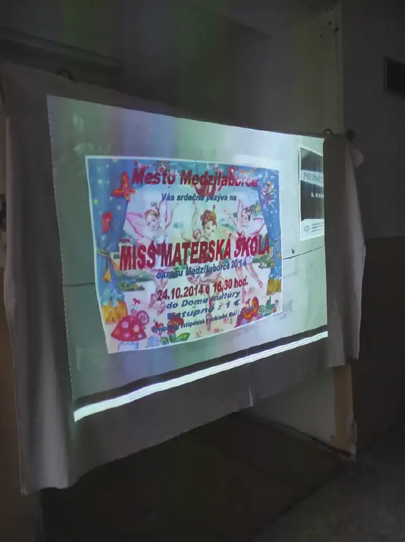 1650348239207.webp