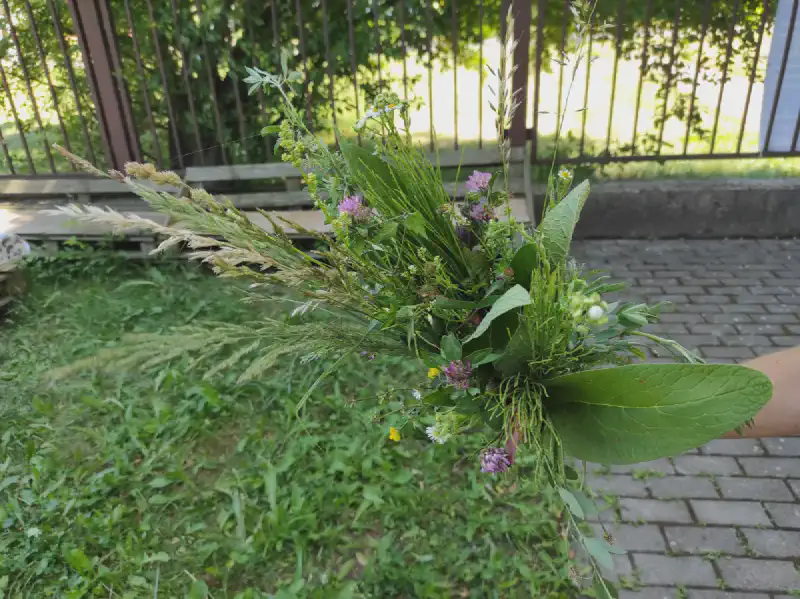 1658205032551.webp